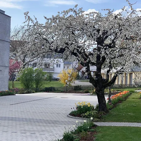 Trilogie Am - Maulbeere Stetten (Bodensee)